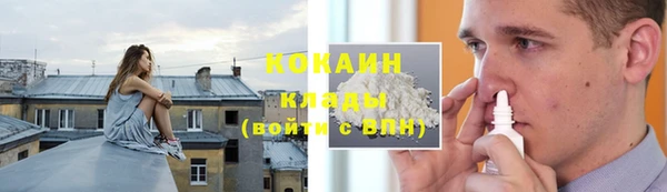 тгк Лагань