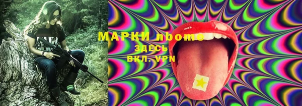 тгк Лагань