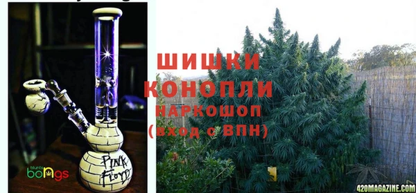 шишки Ладушкин