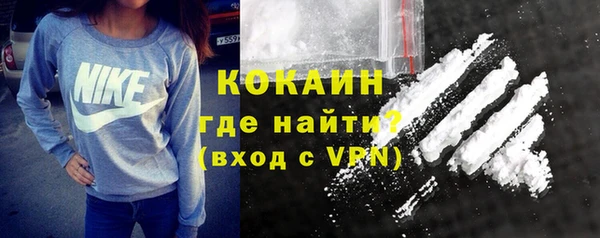 шишки Ладушкин