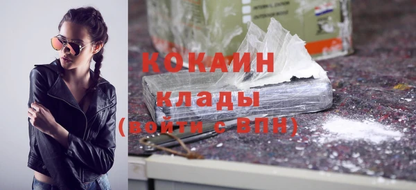шишки Ладушкин