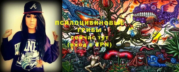 мдпв Лихославль