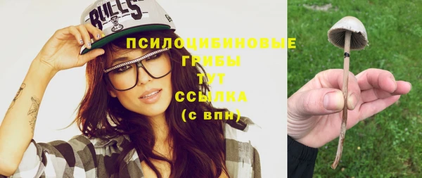 тгк Лагань