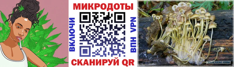 Галлюциногенные грибы Cubensis  Ишимбай 