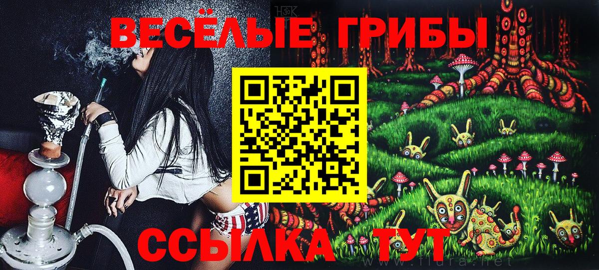 Ишимбай  Галлюциногенные грибы Cubensis  Галлюциногенные грибы мухоморы  Вход с VPN 