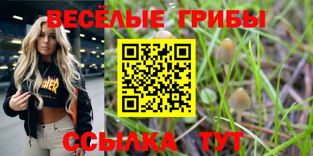 Псилоцибиновые грибы MAGIC MUSHROOMS Ишимбай